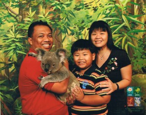 gold-coast-2006-koala1