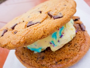 Ice Cream Cookie Sandwich