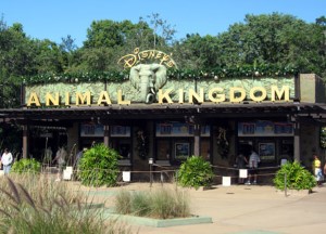 Disney-Animal-Kingdom (Custom)