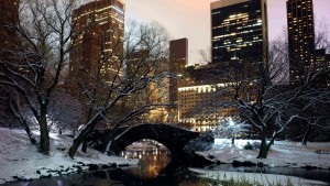 central-park-winter-in-nyc-615310 (Custom)