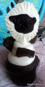 cottontop-tamarin-cupcake-front-248x475