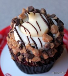 red-velvet-cupcake-front-300x334