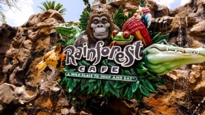 rainforest-cafe-downtown-disney-00