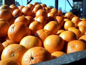 ridge-island-groves2