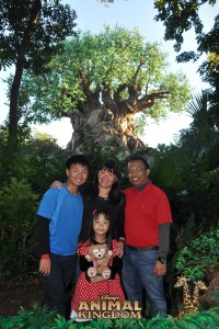 wdw201335330651407_6909218028