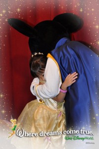 wdw201335531064617_6908348695