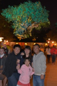 AK_BRDGBTM_7107604417