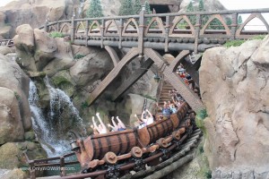 Seven Dwarfs Mine Train1033