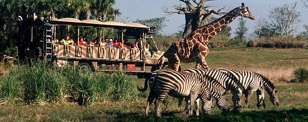 kilimanjaro-safaris