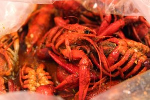 hotnjuicy_crawfish_saria